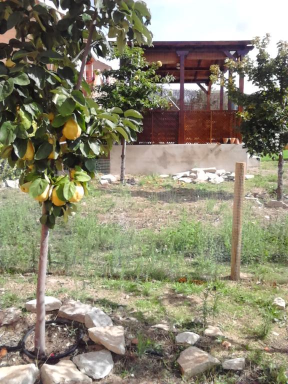 El Jardincillo Pensionat Robledo de Chavela Eksteriør billede